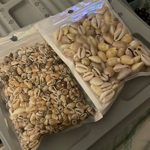 Other - Mini shell bundle of 2 mini shells and cowrie shells 🐚